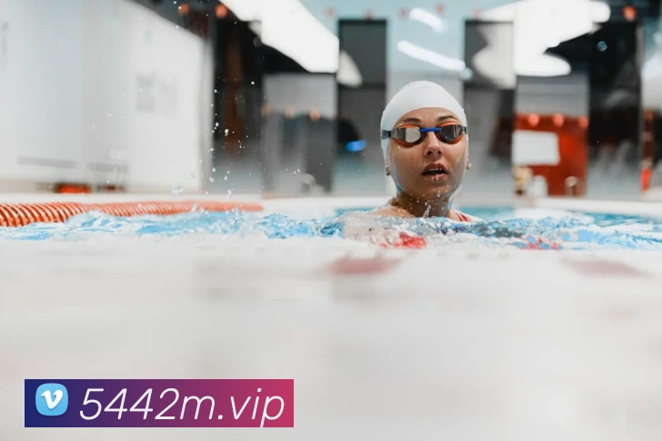 平台展示图